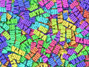 KAIYUN APP-国足球员胜负贡献率数据分析，国足职业球员人数