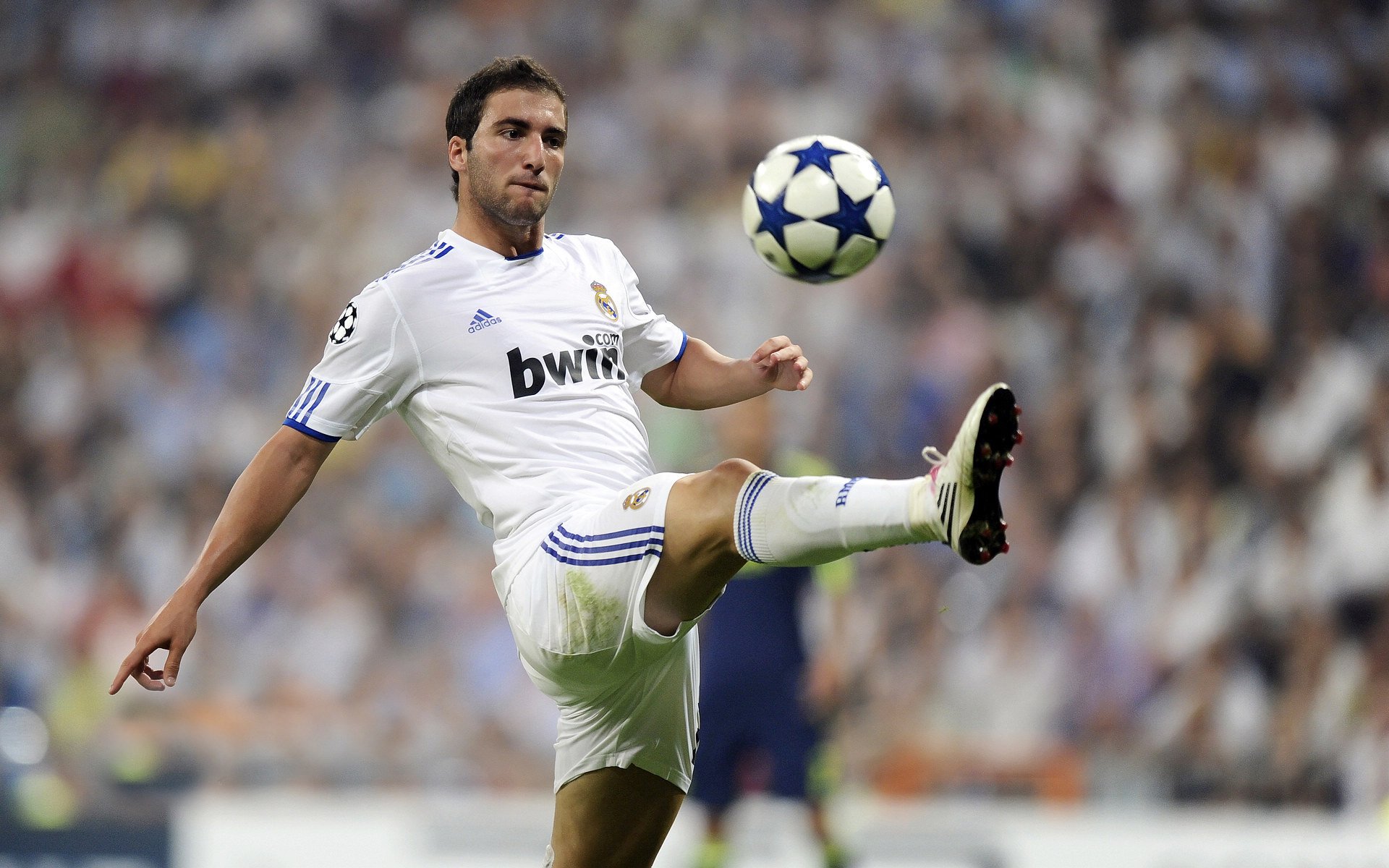 青年球员的成长：从地方联赛到国际舞台，年轻人球队比赛