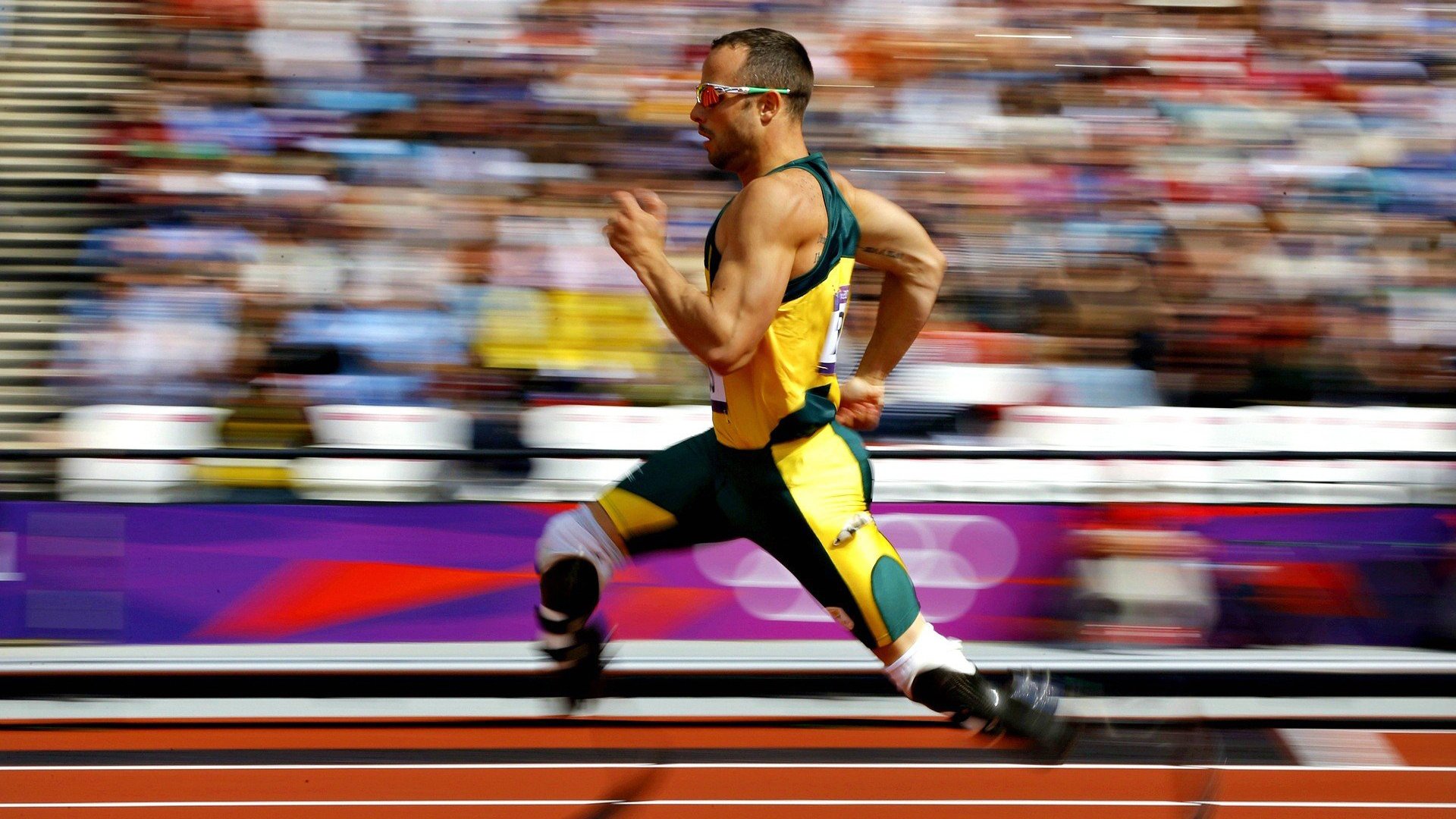 中小学体育教师培训机制逐步完善，中小学体育教师培训机制逐步完善的原因