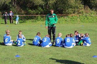 开云体育备用-替补席能否发挥稳定战术执行能力影响赛季后期，替补席是什么意思